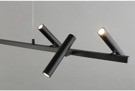 Подвесной светильник LED Aployt Honor APL.067.03.30 (220V, на тросе)