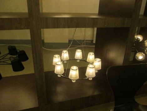 Подвесная люстра F-Promo Argus 2542-8P