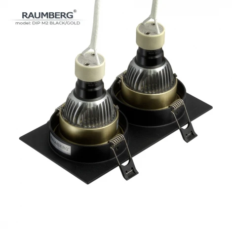 Встраиваемый светильник Raumberg DIP M2 Black/Gold