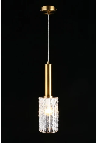 Подвесной светильник Aployt Henrite APL.310.06.01