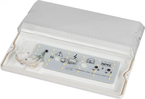 Настенно-потолочный светильник светодиодный ЭРА ДБО 01-12-001 (220V, IP54)