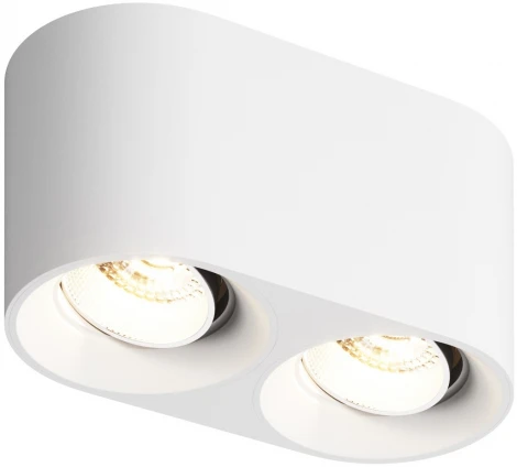 Накладной точечный светильник Denkirs DK3040 DK3096-WH+CH