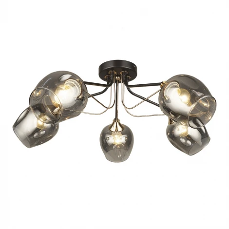 Потолочная люстра Wedo Light Nomalio 66557.01.15.05