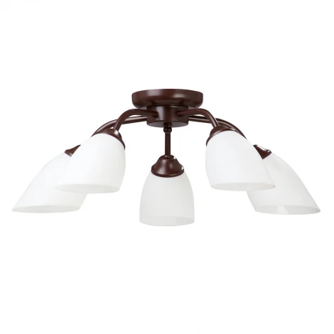 Потолочная люстра Vitaluce V3252/5PL (220V)