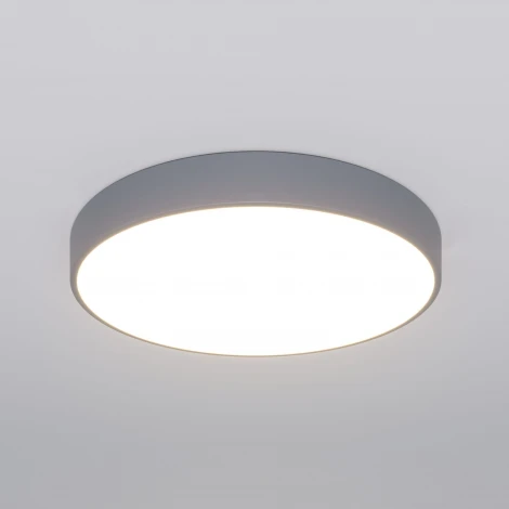 Потолочный светильник круглый Eurosvet Entire 90320/1 серый (регулировка яркости, LED, 220V, пульт управления, круглые)