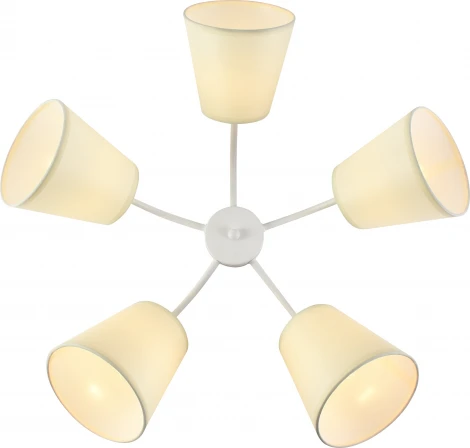 Потолочная люстра Rivoli Aimee 9162-305 (220V)