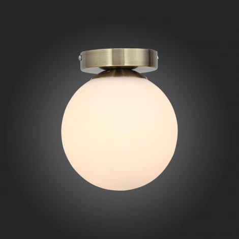 Настенно-потолочный светильник ST Luce Acini SL717.301.01