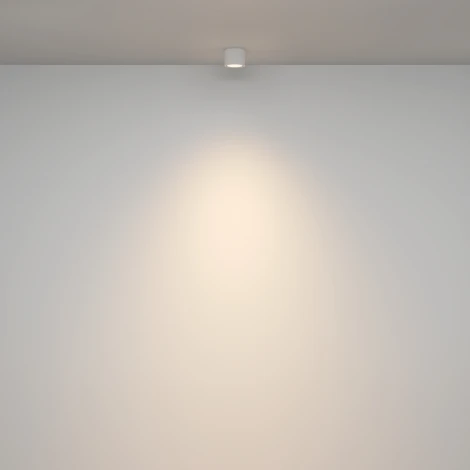 Накладной потолочный светильник Maytoni Rendo C095CL-GX53-W (220V, круглые, IP44)