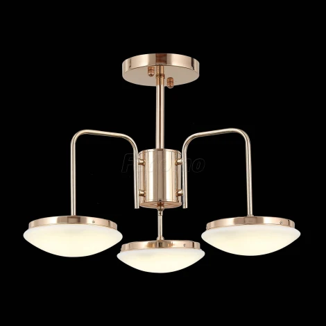 Потолочная люстра ST Luce Pratico SLE120.202.03