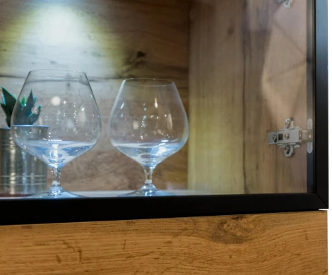 Шкаф Forest ОГОГО 330078