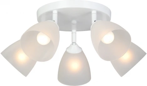 Потолочная люстра Vitaluce V4355-0/5PL (220V)