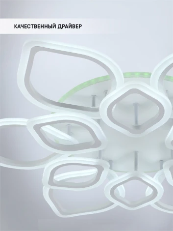 Потолочная люстра Seven Fires Feri SF5029/11C-WT-RGB