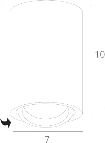 Накладной точечный светильник Arte Lamp Sentry A1560PL-1GY