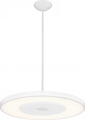 Подвесной светильник Globo Felion 41321H