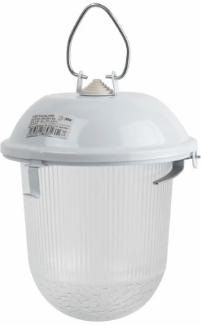 Подвесной светильник ЭРА НСП 41-200-001 (220V, IP54)