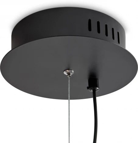 Подвесной светильник Freya Loyd FR5556PL-L25BBS (LED, 220V, на тросе)