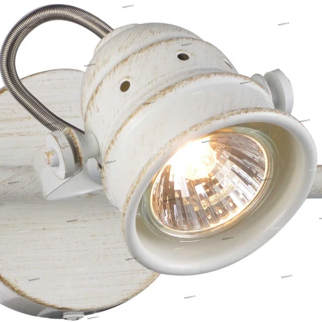 Спот на штанге Citilux Веймар CL537532 (220V, круглые)