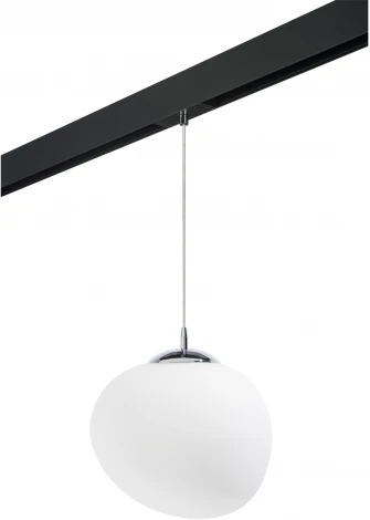 Трековый светильник однофазный 220V Lightstar Arnia PRO805016 (шар)