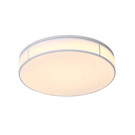 Потолочный светильник ST Luce Fella SL417.502.01