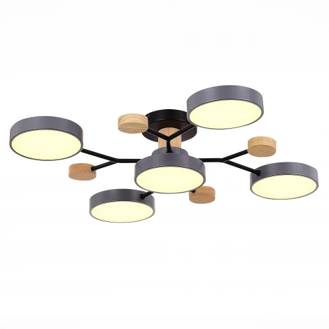 Потолочная люстра на штанге Evoluce Faema SLE6006-702-05