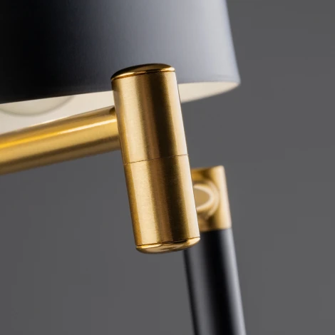 Настольная лампа Freya Izza FR4008TL-02BBS (220V)