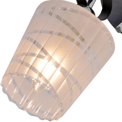 Бра Silver Light Kin 224.49.1