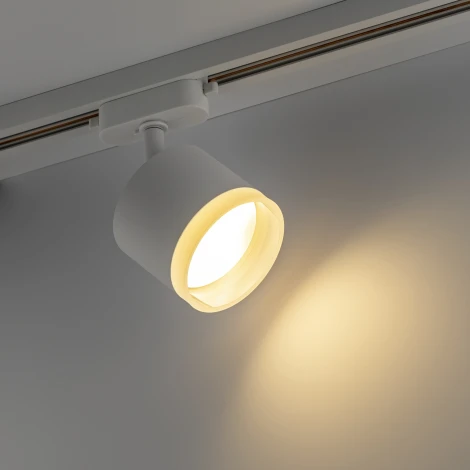 Трековый светильник однофазный 220V Ritter Artline 59861 3