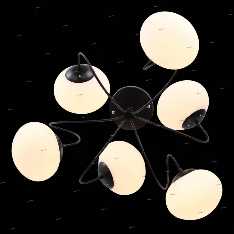 Потолочная люстра ST Luce Acini SL717.402.06