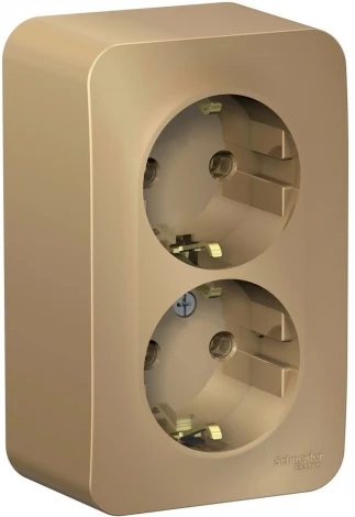 Розетка накладная двойная с заземлением (титан) Systeme Electric Blanca BLNRA010214