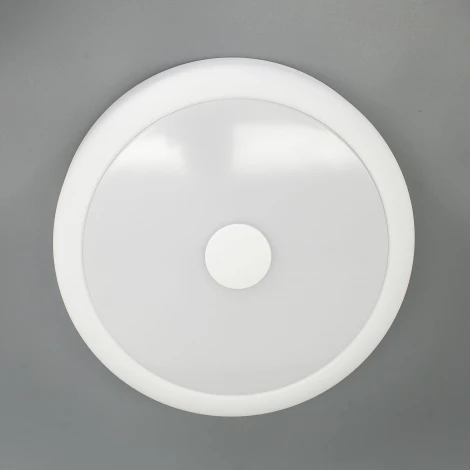 Настенно-потолочный светильник Citilux Фостер-1 CL706110