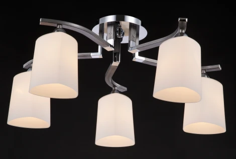 Потолочная люстра Maytoni Eurosize 1 MOD131-CL-05-N