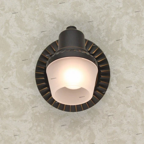 Спот Citilux Антиб CL562511