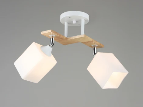 Потолочная люстра на штанге Мелодия Света 000060409