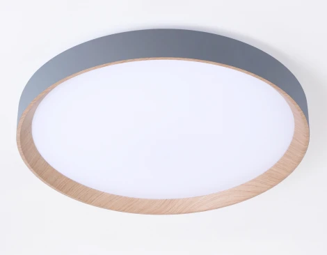 Потолочный светильник круглый светодиодный Ambrella Orbital FZ1322 (220V, пульт управления, круглые)