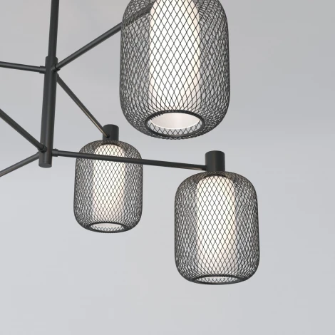 Потолочная люстра на штанге Eurosvet Voile 30191/6 черный (220V)