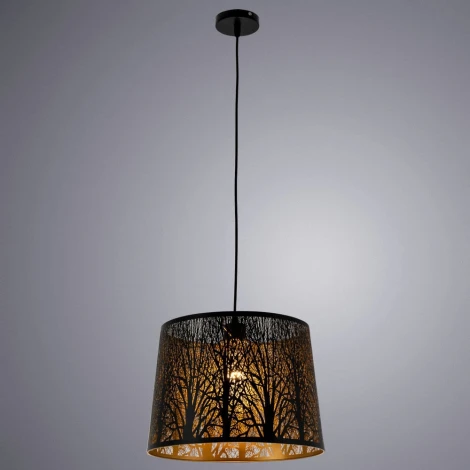 Подвесной светильник Arte Lamp Celesta A2769SP-1BK (220V, на проводе, круглые, природа)