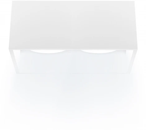 Накладной светильник Ritter Arton 51403 9