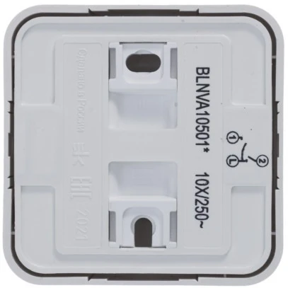 Выключатель накладной двухклавишный (белый) Systeme Electric Blanca BLNVA105011