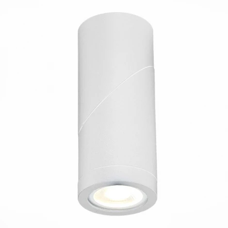 Точечный светильник ST650 ST650.502.01 (220V, IP44)