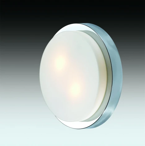 Настенно-потолочный светильник Odeon Light Holger 2746/2C (220V, IP44)