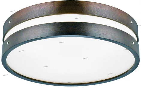 Потолочный светильник ST Luce SL675 SL675.702.04