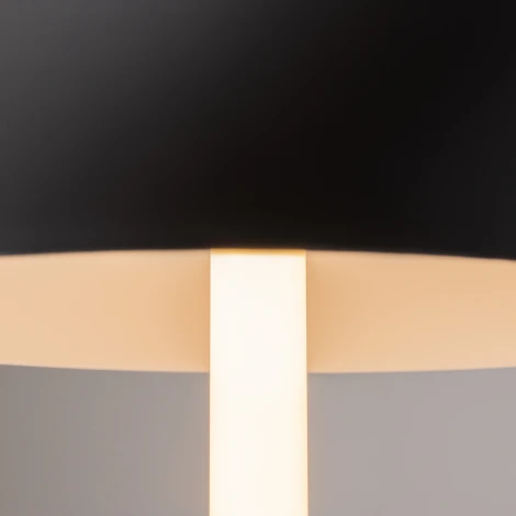 Интерьерная настольная лампа Maytoni Ray Z012TL-L8B3K (LED, 220V, выключатель, круглые, гриб)