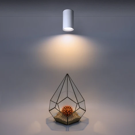 Точечный светильник накладной Wolta WSL-GU10/01W под лампу GU10 Белый BASIC