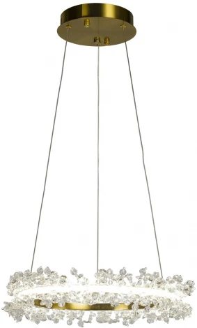 Подвесной светильник светодиодный AM Group AM455 L400 POLISHED GOLD (220V, на проводе, кольцо)