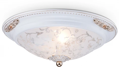 Потолочный светильник Maytoni Diametrik C907-CL-02-W