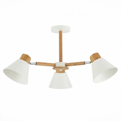 Потолочная люстра Evoluce Buve SLE103702-03 (220V)