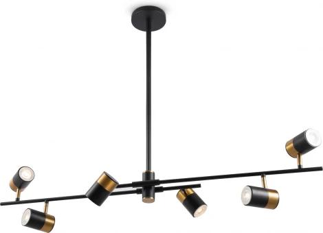 Потолочная люстра на штанге Enzo FR5201PL-06B (220V)