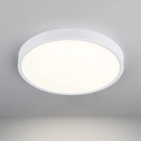 Потолочный светильник круглый Elektrostandard DLR020-DLS020 DLR034 24W 4200K (LED, 220V, круглые)
