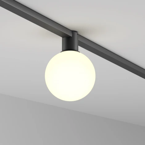Трековый светильник Maytoni Elasity Luna TR171-1-5W3K-WB (LED, 48V, шар)