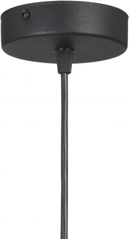 Подвесной светильник V4543-1/1S Vitaluce (220V, на проводе)